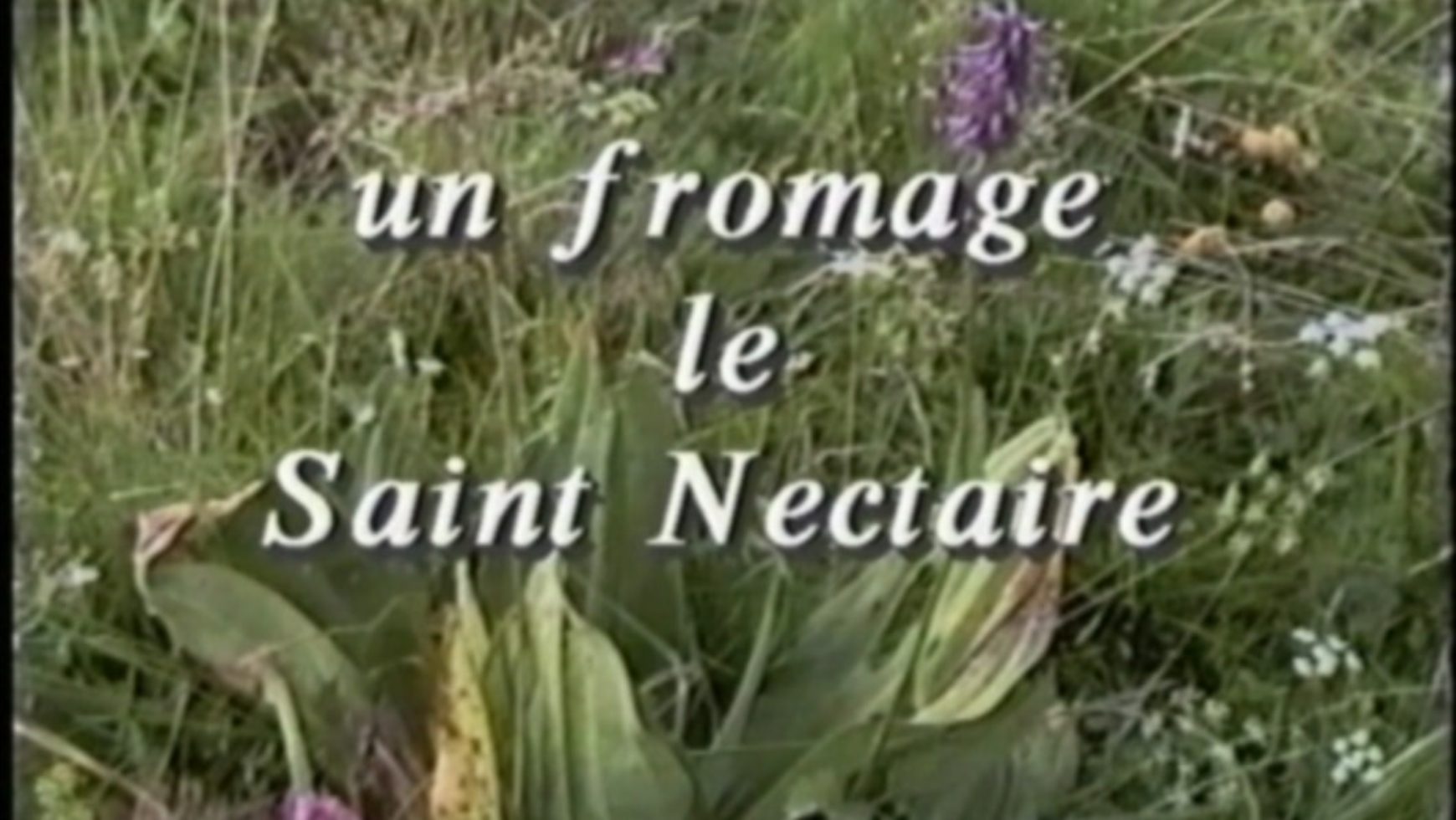 Un Fromage – Le Saint Nectaire