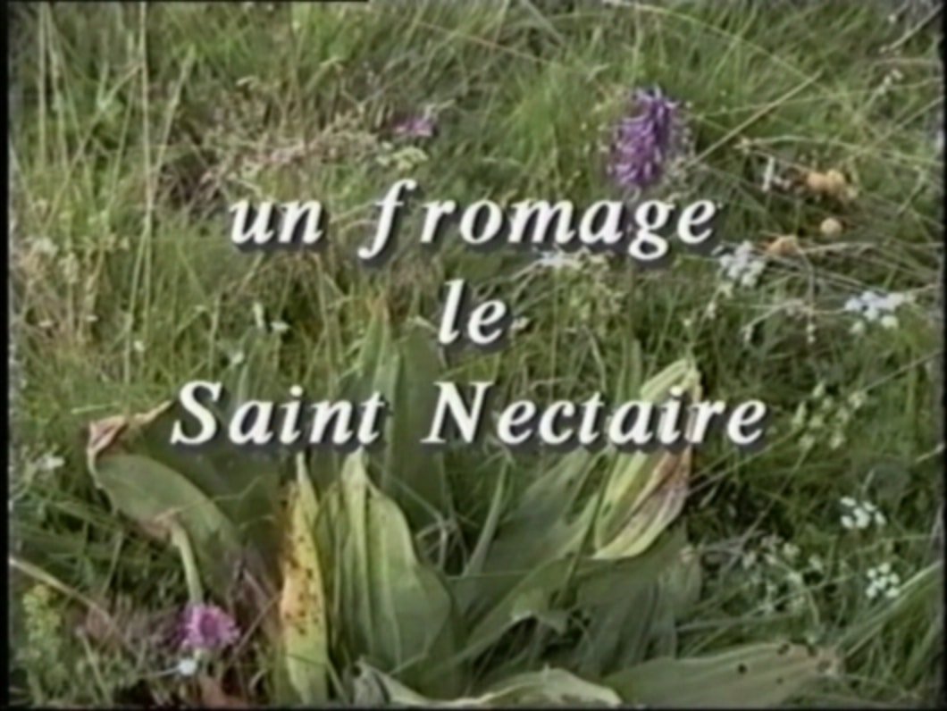 Les Amis Du Vieil Allanche Un Fromage Le Saint Nectaire