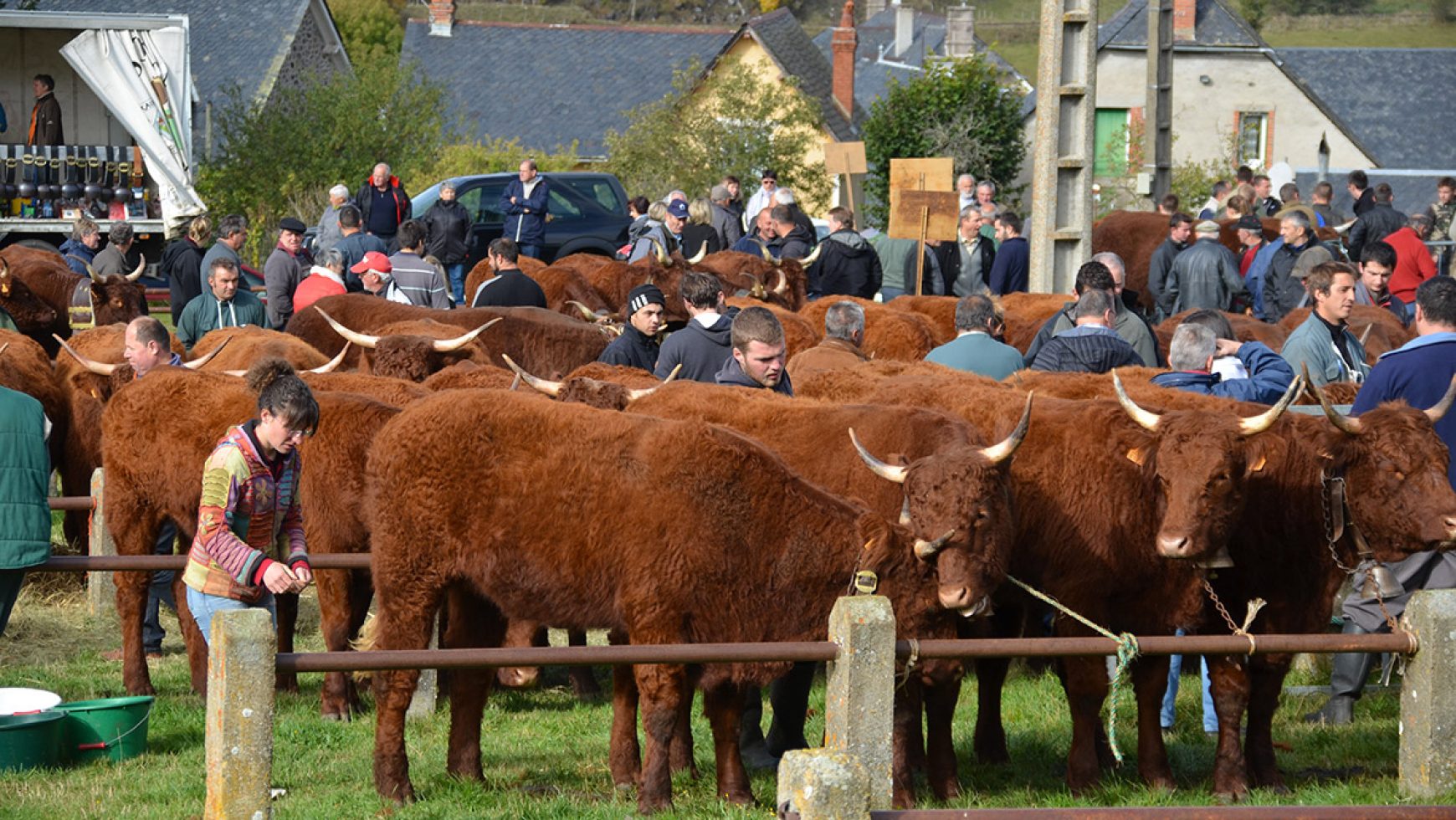 Le comice agricole du canton d’Allanche