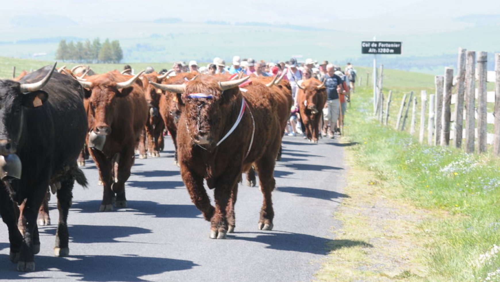 Montée libre à l’estive – Fête de l’Estive – 2021 – ANNULÉ