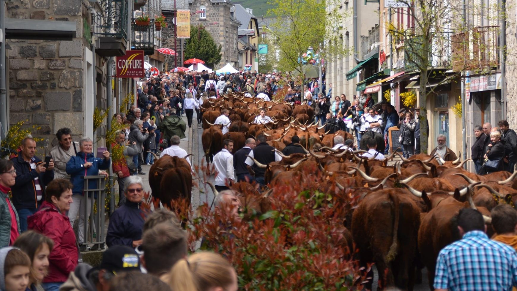 L’album de la Fête de l’Estive 2019 de nos Amis du Vieil Allanche