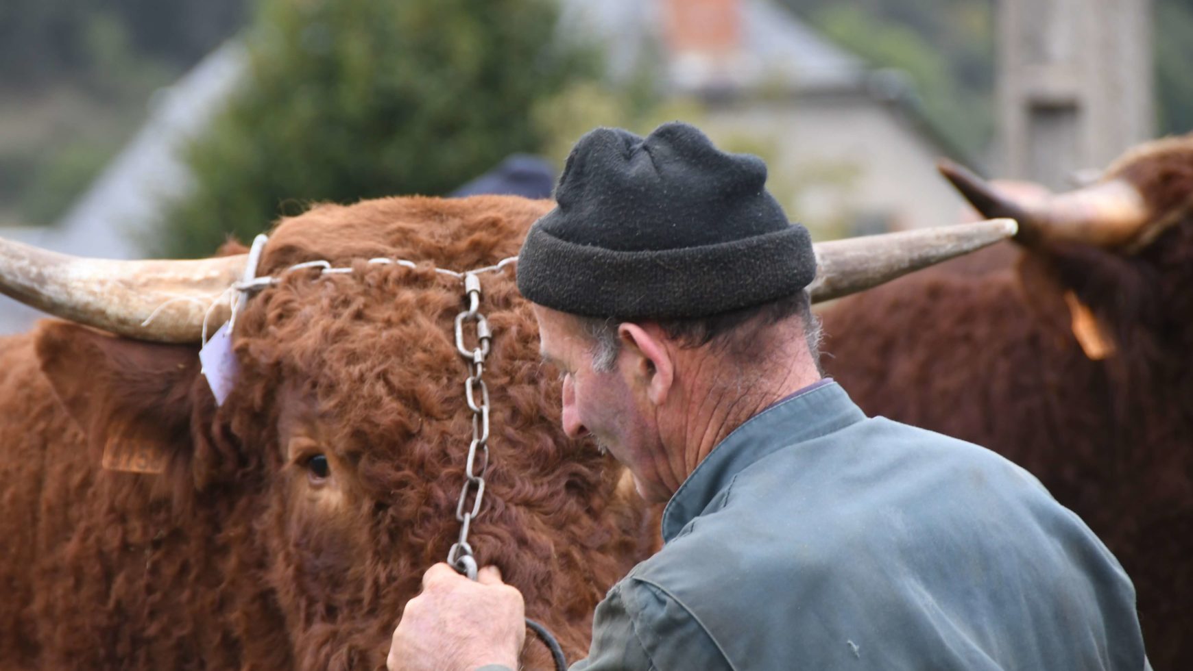 L’album du Comice agricole d’Allanche 2019 de nos Amis du Vieil Allanche