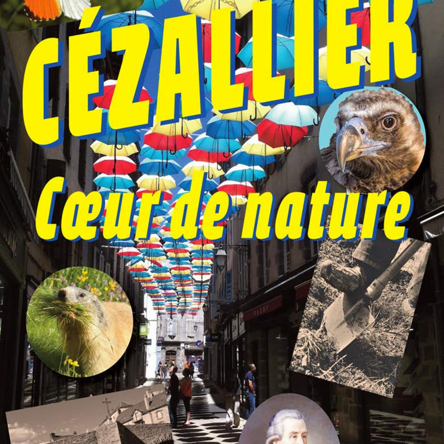 Cahier n°13 : Cézallier, cœur de nature