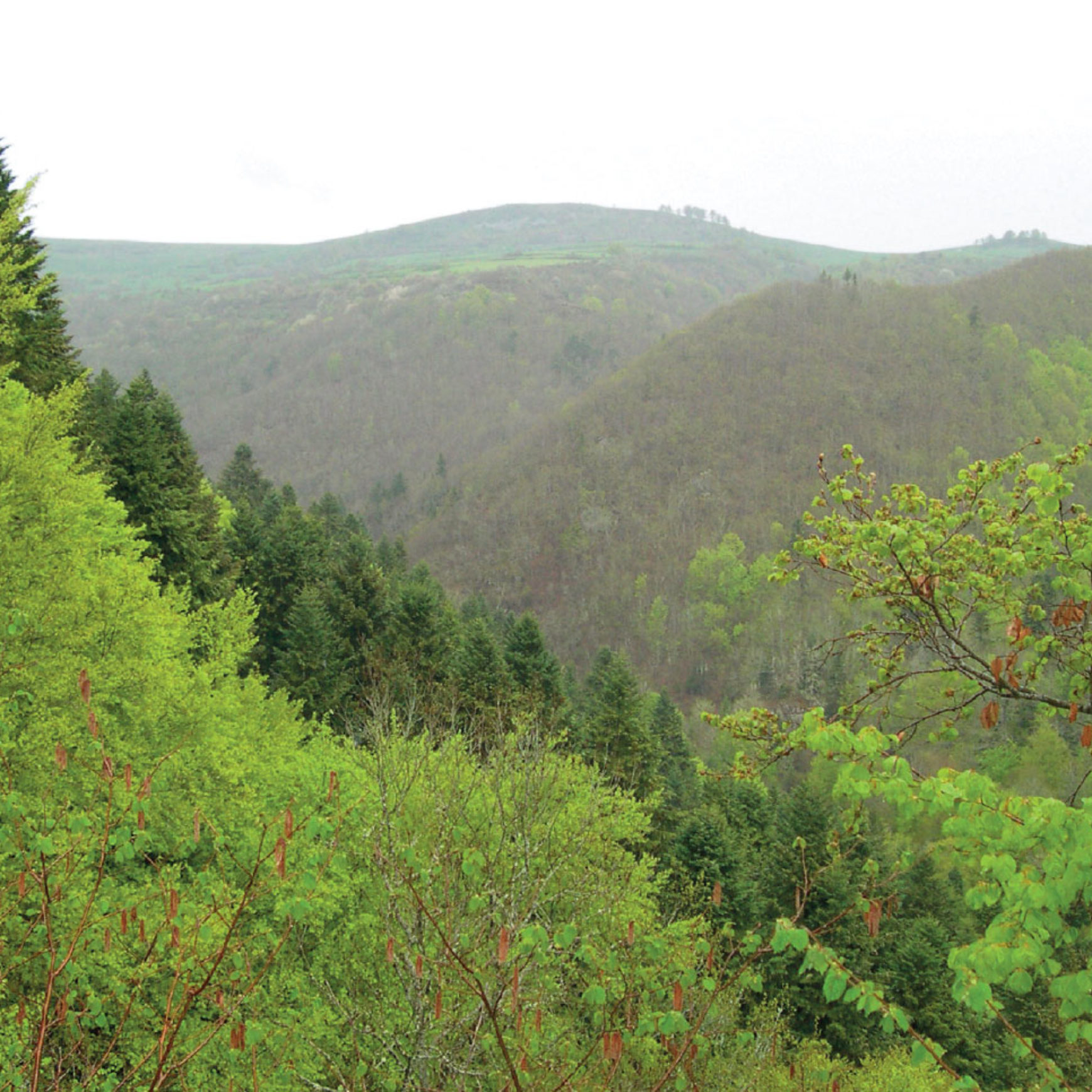 Les anciennes mines des gorges de la Sianne