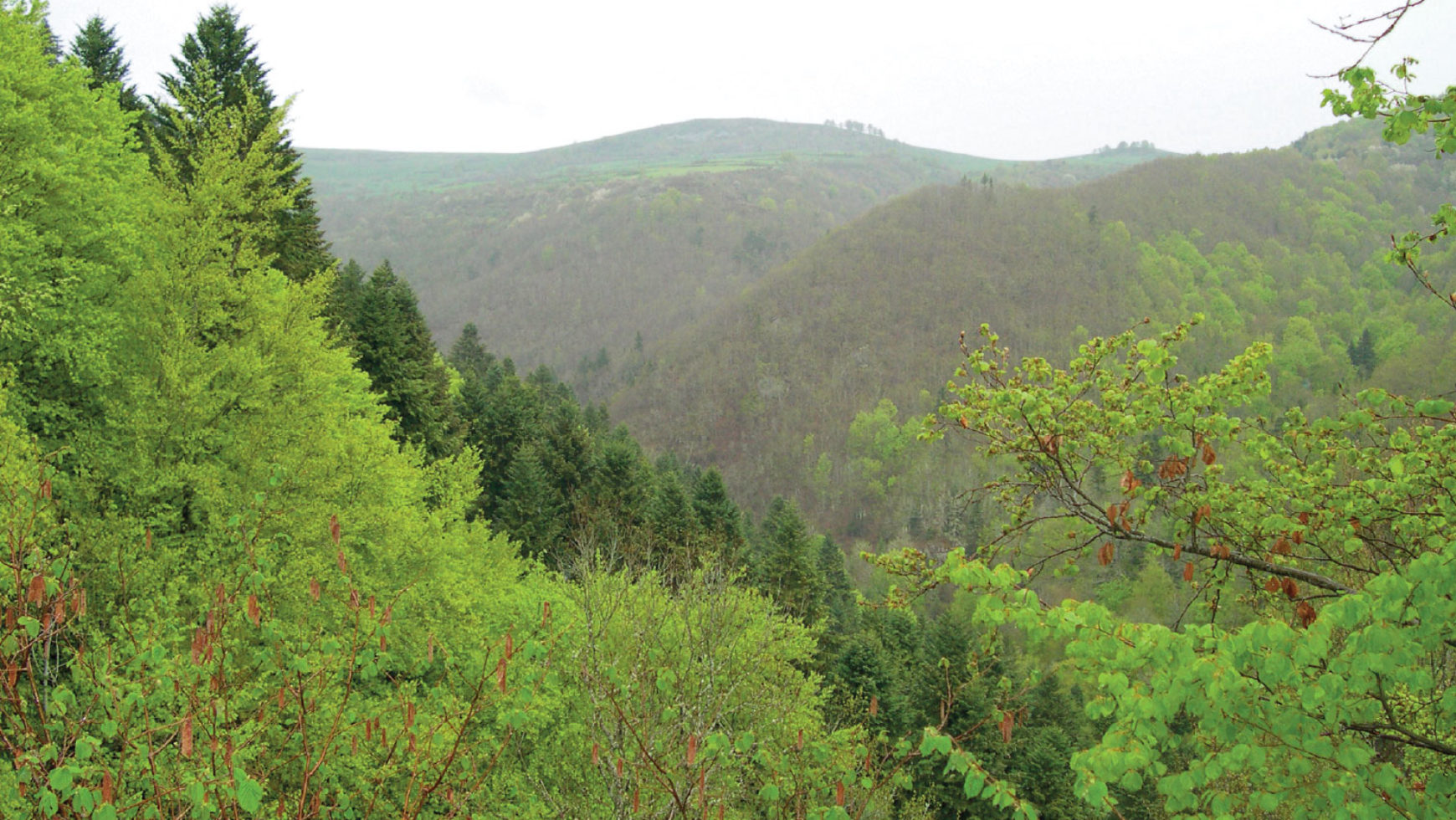 Les anciennes mines des gorges de la Sianne