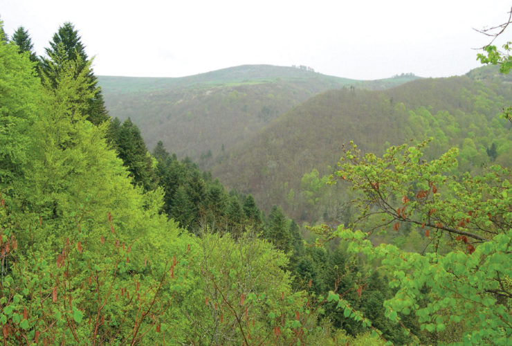 Les anciennes mines des gorges de la Sianne