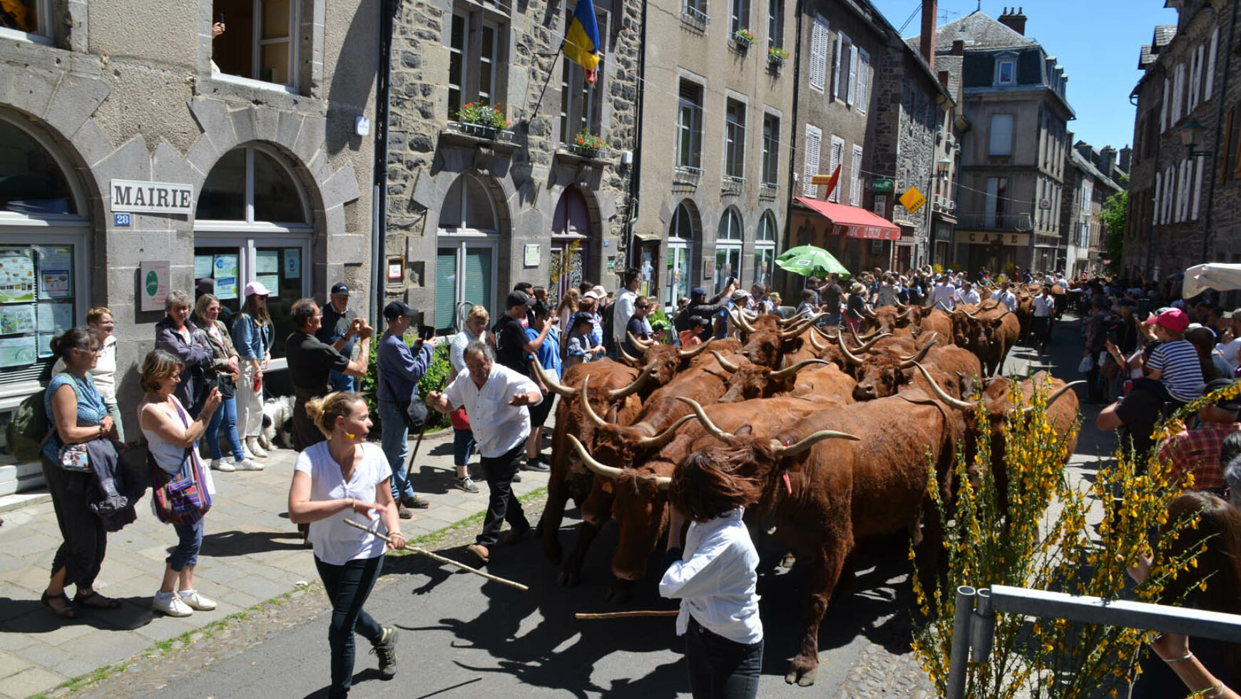 L’album de la Fête de l’Estive 2022 de nos Amis du Vieil Allanche