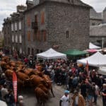 L’album de la Fête de l’Estive 2025 de nos Amis du Vieil Allanche