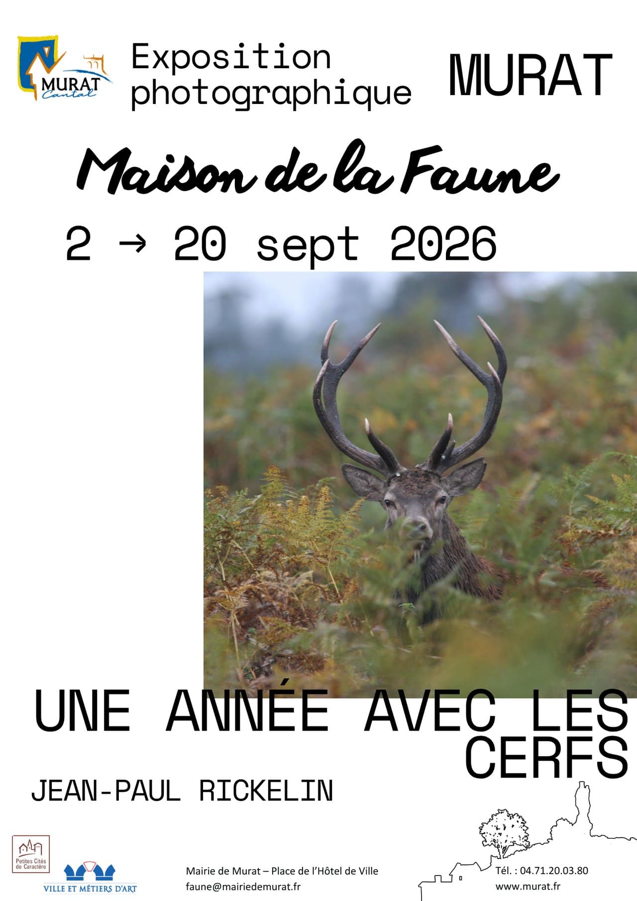 Expo JPRickelin cerfs